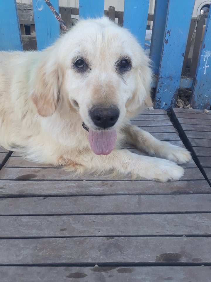 Cali (fka Blossom)  